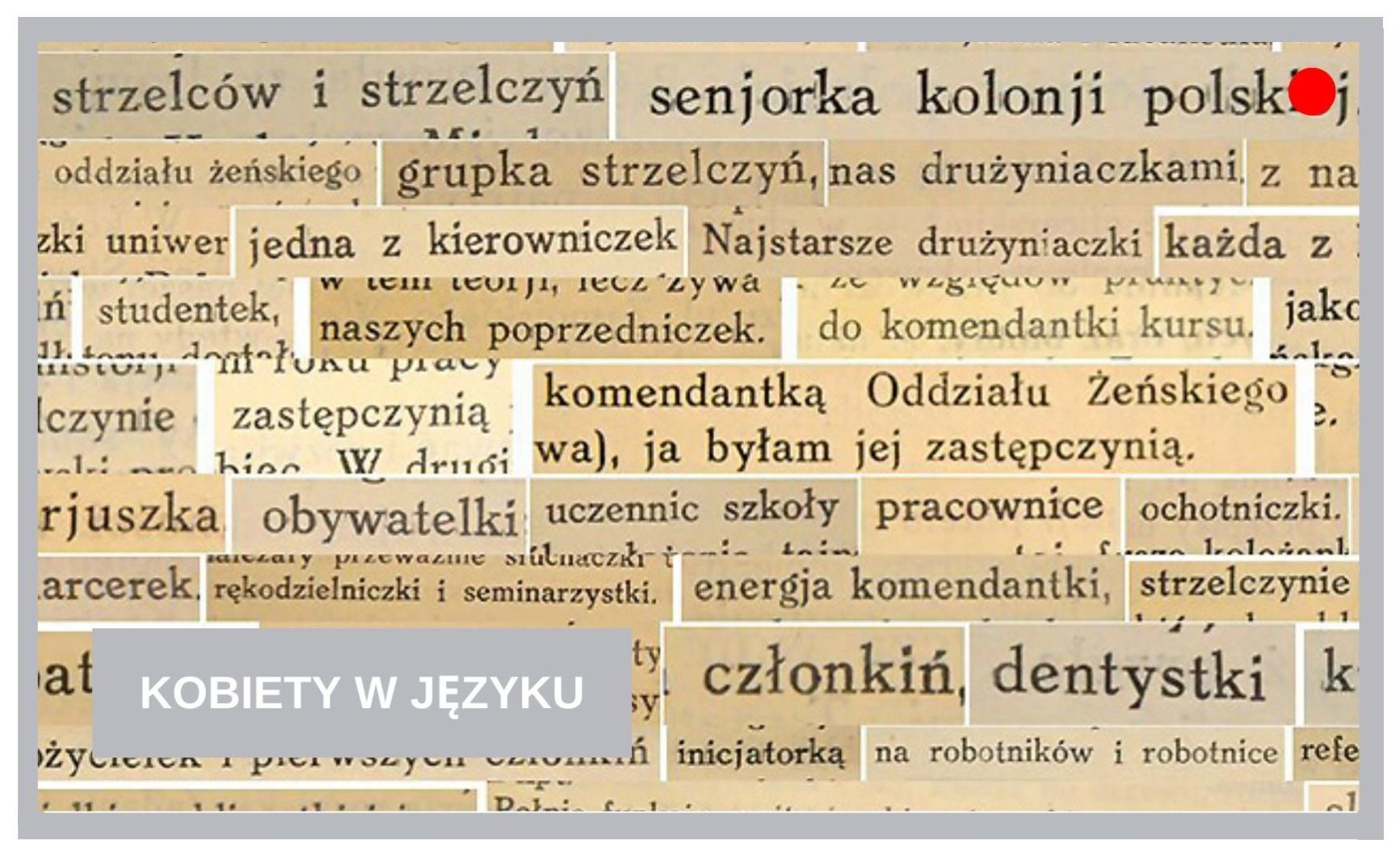 Blog Agnieszka Jasińska - Kobiety w języku
